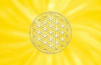 Blume des Lebens_Energiekaertchen_Kunststoff_gelb_Solarplexus-Chakra_Ansicht Vorderseite_atalantes spirit®
